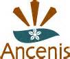 Ancenis