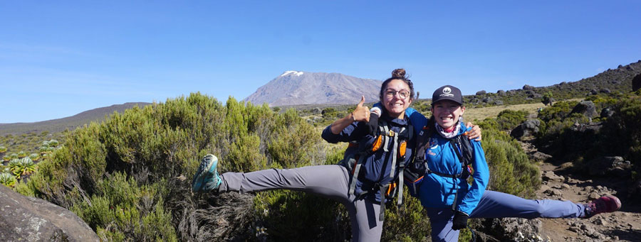 valis help kilimandjaro